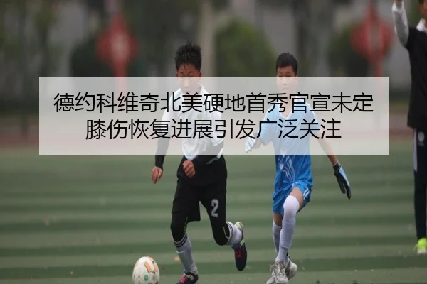 德约科维奇北美硬地首秀官宣未定 膝伤恢复进展引发广泛关注